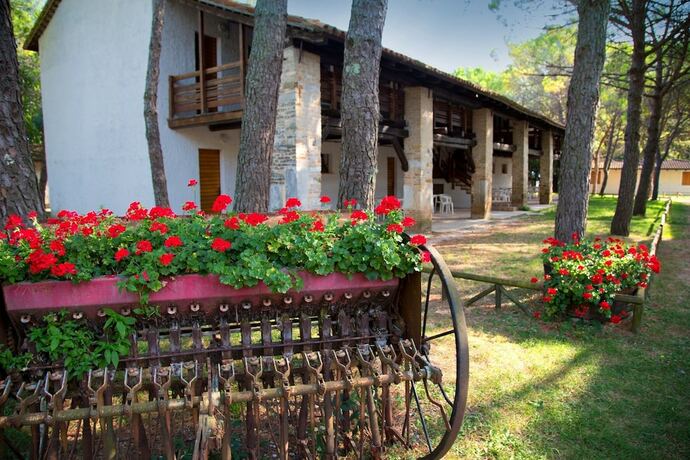 Imagen de la habitación del Belvedere Pineta Camping Village. Foto 19