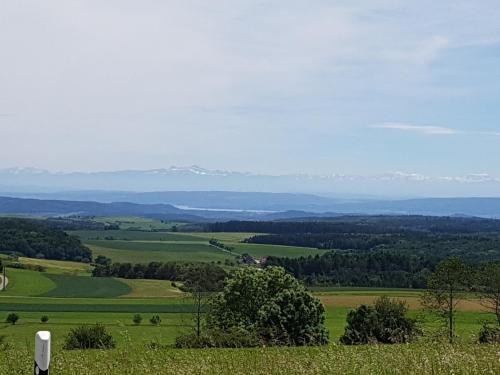 Imagen general del Berg Gasthof Witthoh. Foto 2