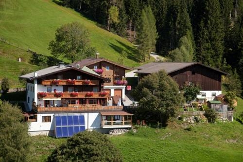 Imagen general del Berggasthof-ferienbauernhof Habersatt. Foto 6