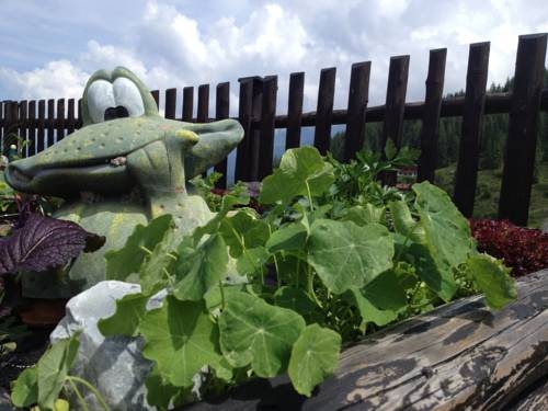 Imagen general del Berghotel Gerlosstein. Foto 6