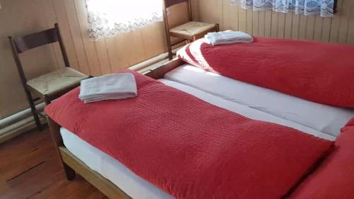 Imagen de la habitación del Berghotel Grimselblick. Foto 6