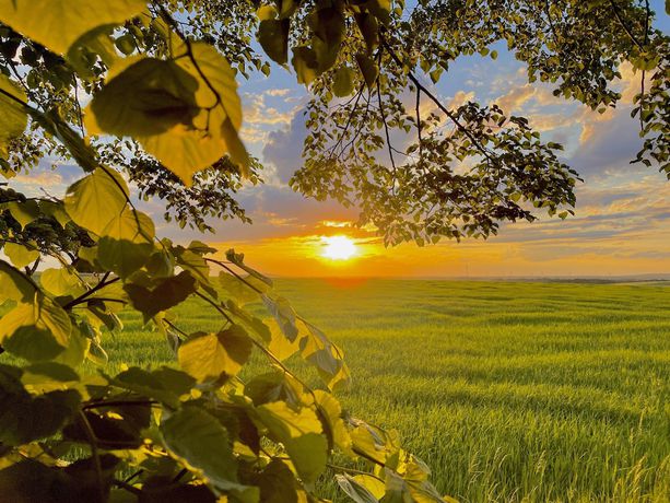 Imagen general del Berghotel Rotstein. Foto 2