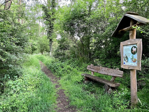 Imagen general del Berghotel Rotstein. Foto 3