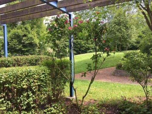 Imagen general del Bfwhotel Und Tagungszentrum. Foto 6