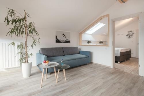 Imagen general del Bichl 761. Foto 4