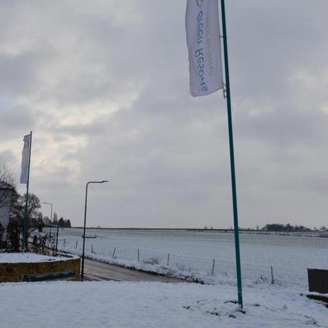 Imagen general del Biebosch. Foto 19