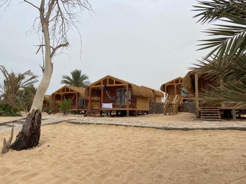 Imagen general del Big Dune camp. Foto 7