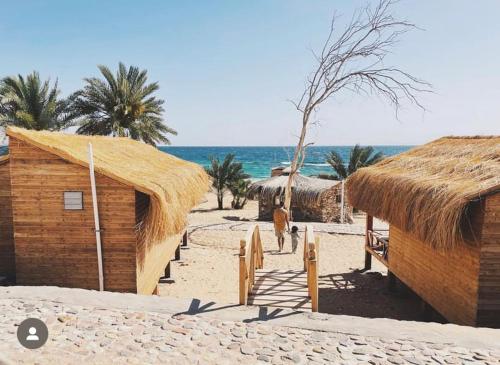 Imagen general del Big Dune camp. Foto 12