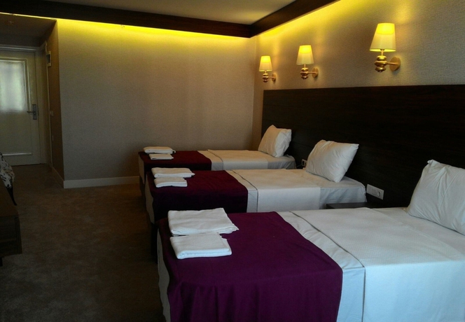Imagen de la habitación del Bilgehan Hotel. Foto 7