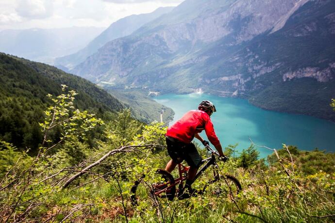 Imagen general del Bio Agritur Le Millemele. Foto 10