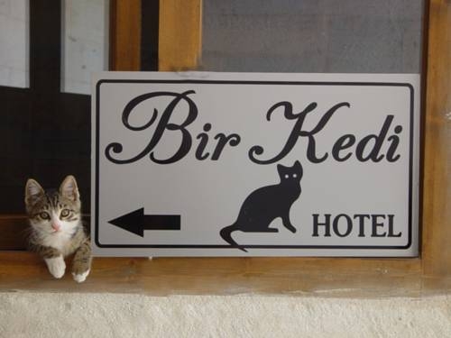 Imagen general del Bir Kedi Villa. Foto 17