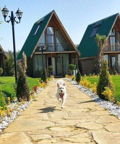 Imagen general del Bisanthe Panorama S&uuml;tl&uuml;ce Dağ Evleri. Foto 12