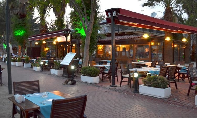 Imagen del bar/restaurante del Bitez Deniz Hotel. Foto 5