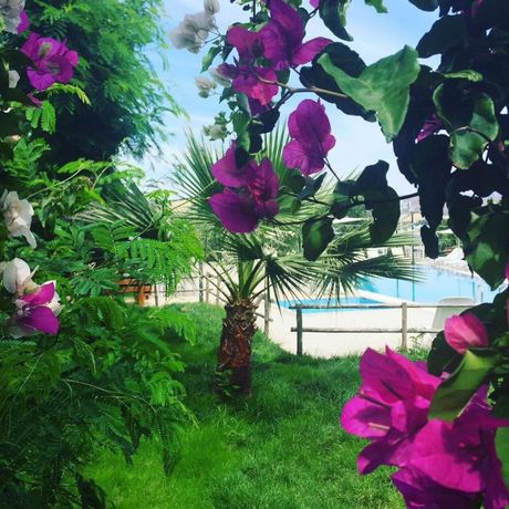 Imagen de los exteriores del Bitez Marina Hotel. Foto 4