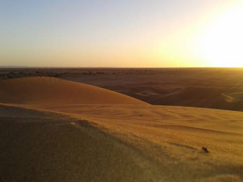 Imagen de la habitación del Bivouac Desert Sahara. Foto 1