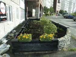 Imagen general del Black Belt Hotel. Foto 4