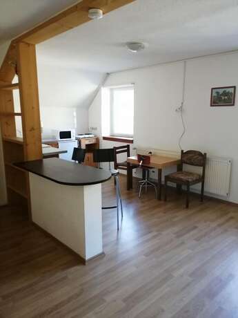 Imagen general del Black Forest Family Apartment-Zum Letzten G\'Stehr. Foto 6