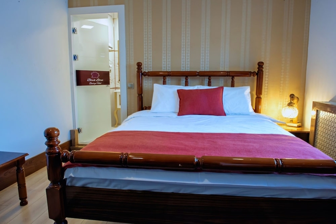 Imagen de la habitación del Black Lotus İzmir. Foto 12