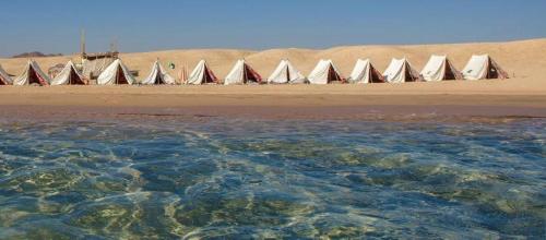 Imagen de la habitación del Blend in Nature Eco Camp Beachfront Stay in Ras Mohamed, Sharm El Sheikh. Foto 20
