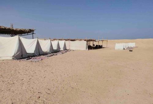 Imagen general del Blend in Nature Eco Camp Beachfront Stay in Ras Mohamed, Sharm El Sheikh. Foto 5