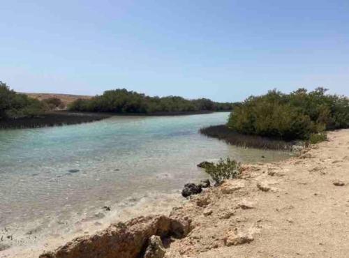 Imagen general del Blend in Nature Eco Camp Beachfront Stay in Ras Mohamed, Sharm El Sheikh. Foto 15