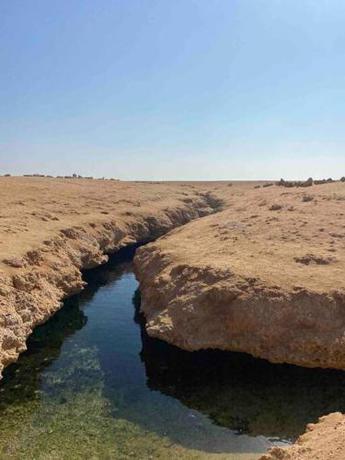 Imagen general del Blend in Nature Eco Camp Beachfront Stay in Ras Mohamed, Sharm El Sheikh. Foto 17