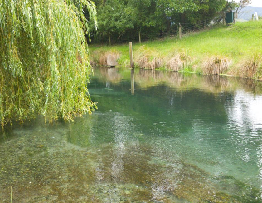 Imagen general del Blenheim Spring Creek. Foto 7