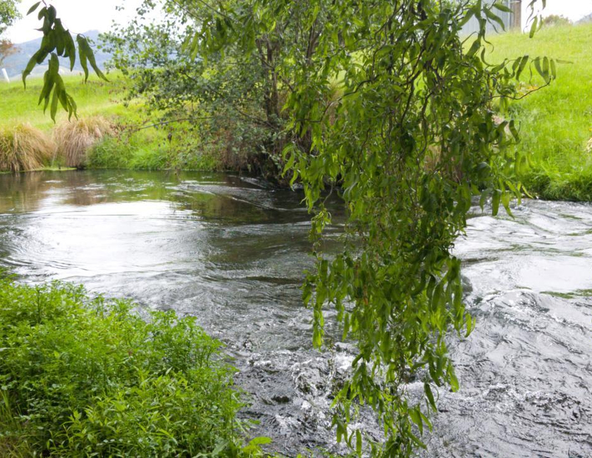 Imagen general del Blenheim Spring Creek. Foto 9