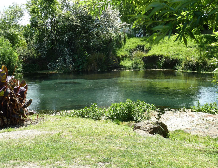 Imagen general del Blenheim Spring Creek. Foto 10