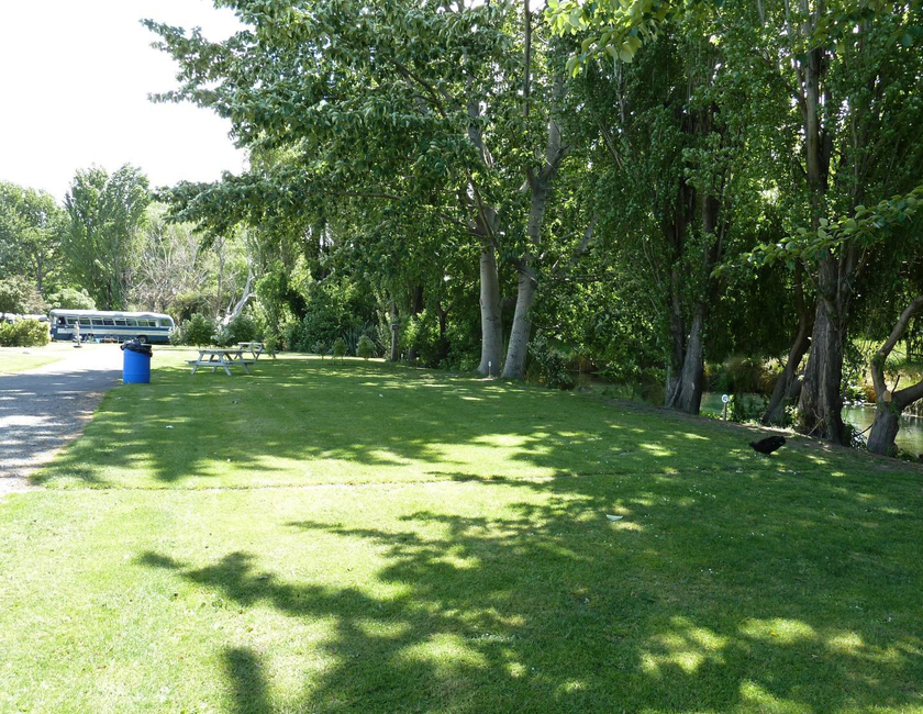 Imagen general del Blenheim Spring Creek. Foto 14