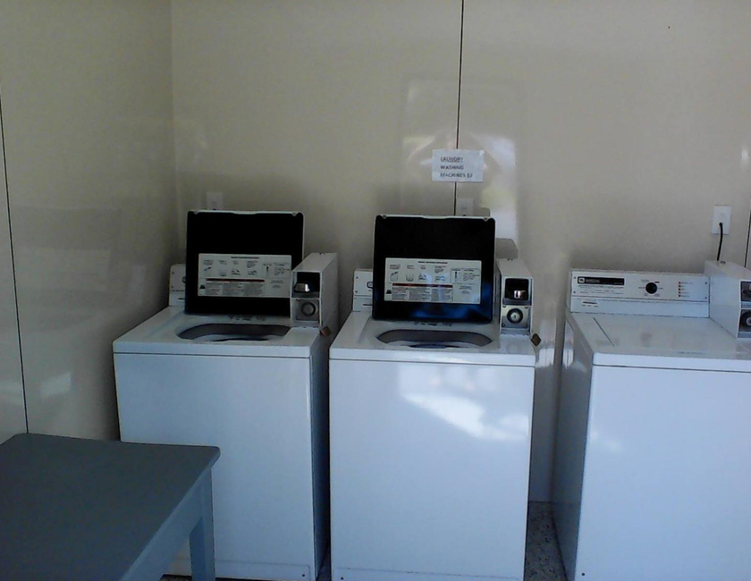 Imagen general del Blenheim Spring Creek. Foto 16