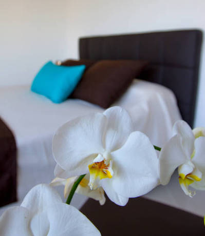 Imagen de la habitación del Bleu Mer Duplex & Suites. Foto 5