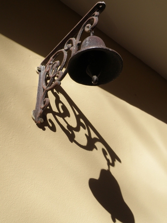 Imagen de los interiores del Bloomers. Foto 14