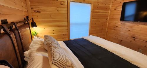 Imagen general del Blue Buffalo Resort. Foto 7