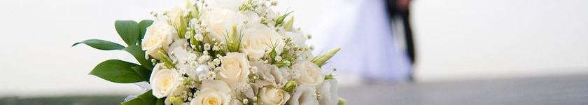 Imagen de los interiores del Blue Dolphin Hotel. Foto 18