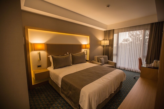Imagen de la habitación del Blue Sea Hotel, Trabzon. Foto 11