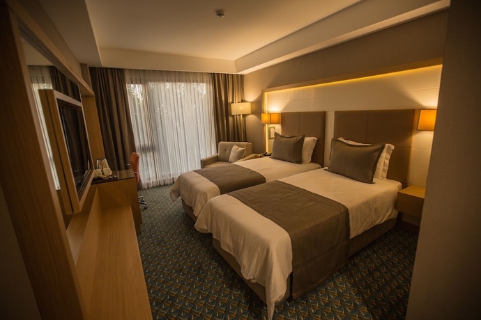 Imagen de la habitación del Blue Sea Hotel, Trabzon. Foto 13
