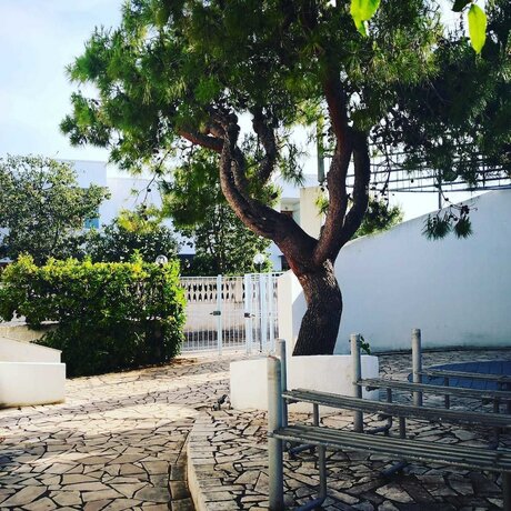 Imagen general del Blumarine Residence Club. Foto 14