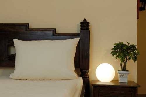 Imagen general del Boarding House Heidelberg. Foto 4