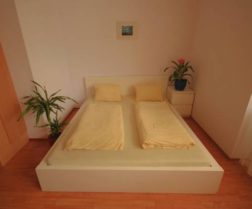 Imagen general del Boardinghouse Mitterweg. Foto 4