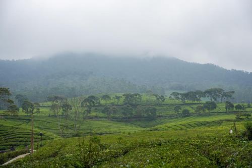 Imagen general del Bobocabin Pangalengan, Bandung. Foto 4