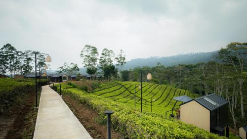 Imagen general del Bobocabin Pangalengan, Bandung. Foto 10