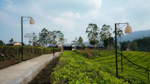 Imagen general del Bobocabin Pangalengan, Bandung. Foto 15