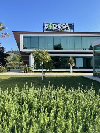 Imagen general del Bodega Butik Otel. Foto 1