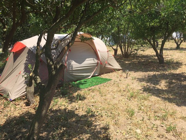 Imagen de la habitación del Bodrum Masali Camping - Hostel. Foto 6