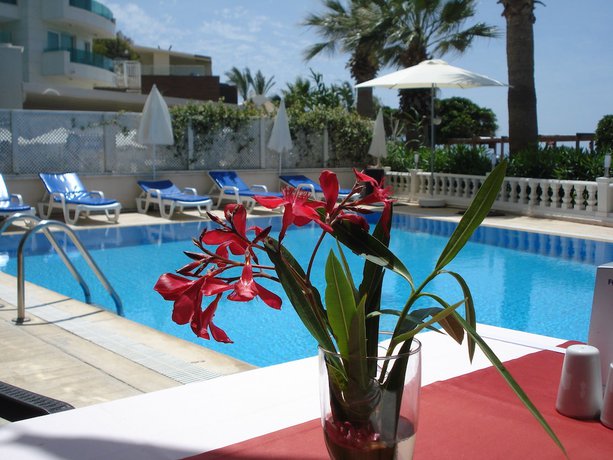 Imagen de la piscina del Bodrum Moonlight Hotel. Foto 19