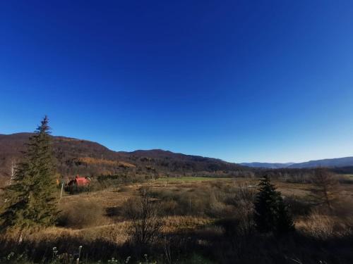 Imagen general del Bogdanka Bieszczady Karczma SPA & Noclegi. Foto 3