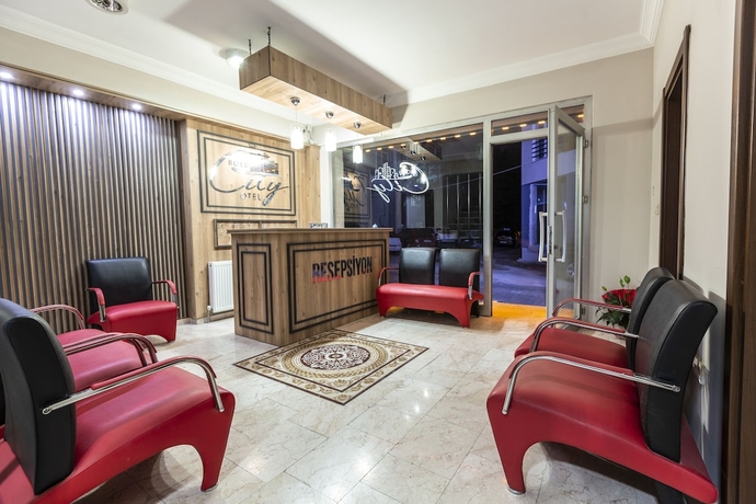 Imagen de los interiores del Bolu City Otel. Foto 18