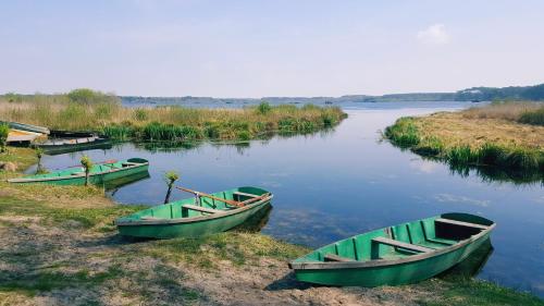 Imagen general del Bonjour Sauvage Seignosse. Foto 6