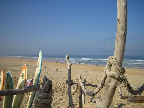 Imagen general del Bonjour Sauvage Seignosse. Foto 9